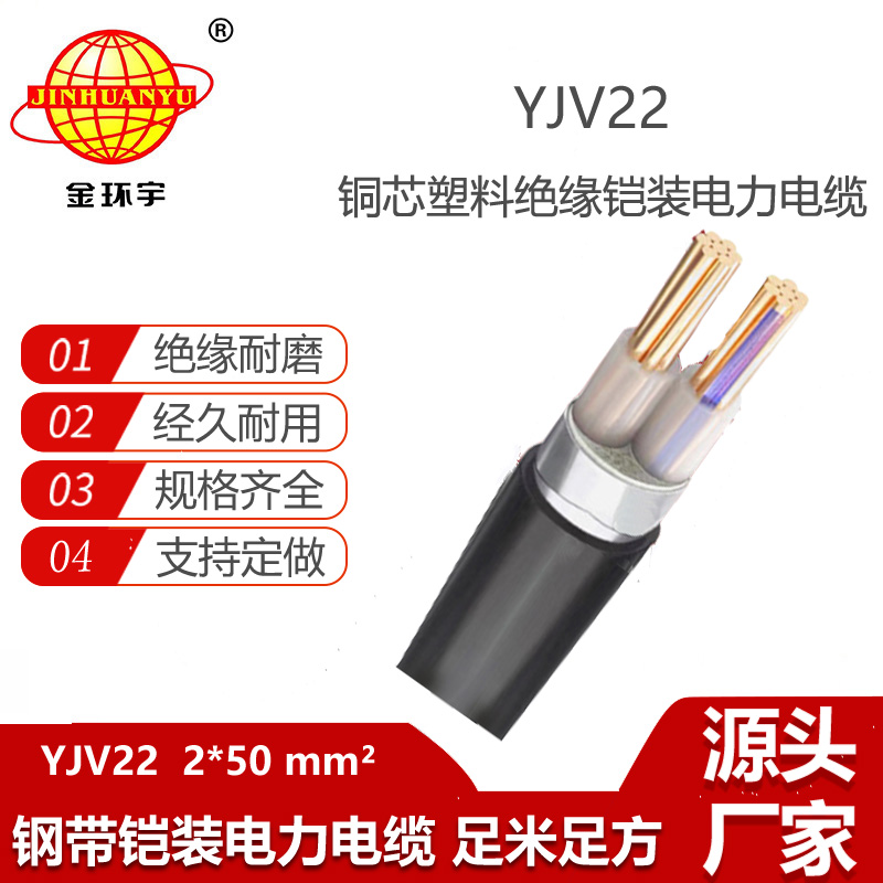 金环宇电缆 YJV22 2X50平方 铠装电缆 低压交联铜芯2芯电缆